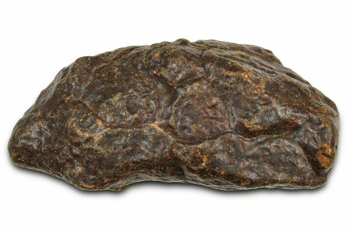 Chondrite Meteorite ( g) - Western Sahara Desert #371310
